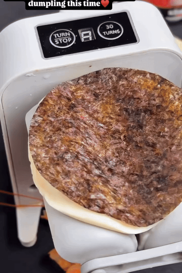 Electric Dumpling Machine GULFIGO